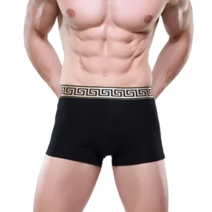 2 chiếc/lô quần lót nam Modal Boxer Briefs quần lót Bullet tách rời thoải mái thoáng khí gợi cảm quần lót voi 3