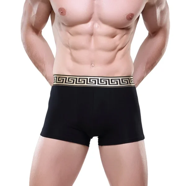 2 chiếc/lô quần lót nam Modal Boxer Briefs quần lót Bullet tách rời thoải mái thoáng khí gợi cảm quần lót voi 3