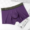 2 chiếc/lô quần lót nam Modal Boxer Briefs quần lót Bullet tách rời thoải mái thoáng khí gợi cảm quần lót voi 5