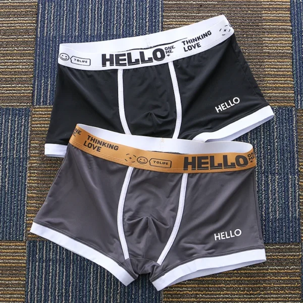 2 Cái/lốc Quần Lót Boxer Thời Trang Nam Quần Lót Mùa Hè Lụa Băng Thoáng Khí Quần Đùi Nam Quần Đùi Cuecas Masculinas Nam Calzoncillos